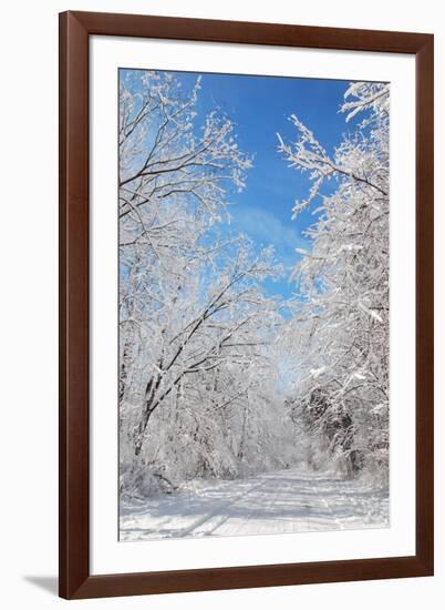 Winter in Eagle Creek Park, Indianapolis, Indiana, USA-Anna Miller-Framed Photographic Print