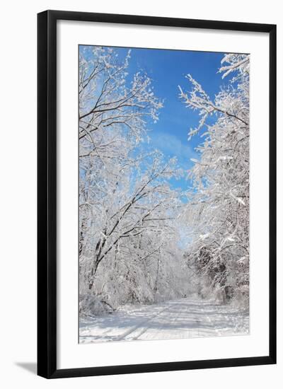 Winter in Eagle Creek Park, Indianapolis, Indiana, USA-Anna Miller-Framed Photographic Print