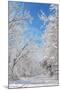 Winter in Eagle Creek Park, Indianapolis, Indiana, USA-Anna Miller-Mounted Photographic Print