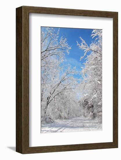 Winter in Eagle Creek Park, Indianapolis, Indiana, USA-Anna Miller-Framed Photographic Print