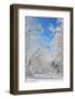 Winter in Eagle Creek Park, Indianapolis, Indiana, USA-Anna Miller-Framed Photographic Print