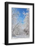 Winter in Eagle Creek Park, Indianapolis, Indiana, USA-Anna Miller-Framed Photographic Print