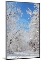 Winter in Eagle Creek Park, Indianapolis, Indiana, USA-Anna Miller-Mounted Photographic Print