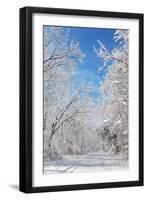 Winter in Eagle Creek Park, Indianapolis, Indiana, USA-Anna Miller-Framed Photographic Print