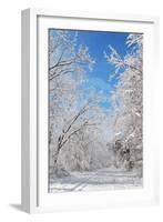 Winter in Eagle Creek Park, Indianapolis, Indiana, USA-Anna Miller-Framed Photographic Print