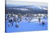 Winter in Finland.-Valoor-Stretched Canvas