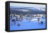 Winter in Finland.-Valoor-Framed Stretched Canvas