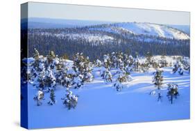Winter in Finland.-Valoor-Stretched Canvas