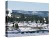 Winter in Midway Basin, Buffalo Beside Firehole River, Yellowstone National Park, Wyoming, USA-Waltham Tony-Stretched Canvas