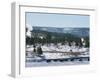 Winter in Midway Basin, Buffalo Beside Firehole River, Yellowstone National Park, Wyoming, USA-Waltham Tony-Framed Photographic Print