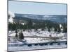 Winter in Midway Basin, Buffalo Beside Firehole River, Yellowstone National Park, Wyoming, USA-Waltham Tony-Mounted Photographic Print