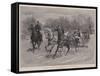 Winter in New York, Sleighing in Central Park-John Charlton-Framed Stretched Canvas