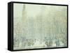 Winter in New York-F. Usher Voll-Framed Stretched Canvas