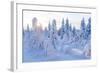 Winter in Riisitunturi National Park, Lapland, Finland-Peter Adams-Framed Photographic Print