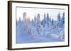 Winter in Riisitunturi National Park, Lapland, Finland-Peter Adams-Framed Photographic Print