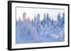 Winter in Riisitunturi National Park, Lapland, Finland-Peter Adams-Framed Photographic Print