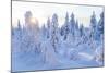 Winter in Riisitunturi National Park, Lapland, Finland-Peter Adams-Mounted Photographic Print