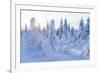 Winter in Riisitunturi National Park, Lapland, Finland-Peter Adams-Framed Photographic Print