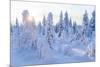 Winter in Riisitunturi National Park, Lapland, Finland-Peter Adams-Mounted Photographic Print