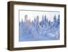 Winter in Riisitunturi National Park, Lapland, Finland-Peter Adams-Framed Photographic Print