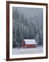 Winter in Sula-Jason Savage-Framed Art Print