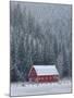 Winter in Sula-Jason Savage-Mounted Art Print