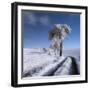 winter in summer-Piotr Krol (Bax)-Framed Photographic Print