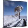 winter in summer-Piotr Krol (Bax)-Mounted Photographic Print