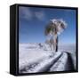 winter in summer-Piotr Krol (Bax)-Framed Stretched Canvas