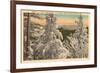 Winter in the Great Smoky Mountains-null-Framed Art Print