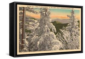 Winter in the Great Smoky Mountains-null-Framed Stretched Canvas