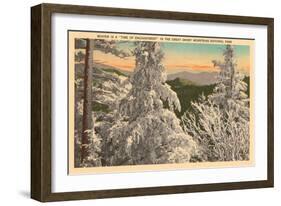 Winter in the Great Smoky Mountains-null-Framed Art Print