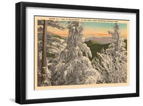 Winter in the Great Smoky Mountains-null-Framed Art Print