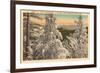 Winter in the Great Smoky Mountains-null-Framed Premium Giclee Print