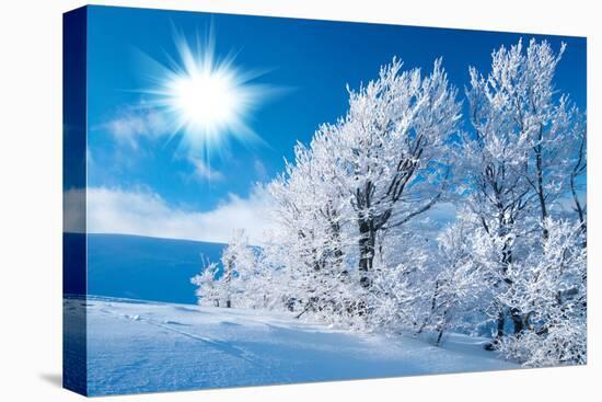 Winter in the Mountains-silver-john-Stretched Canvas