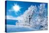 Winter in the Mountains-silver-john-Stretched Canvas