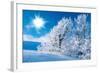 Winter in the Mountains-silver-john-Framed Photographic Print