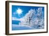 Winter in the Mountains-silver-john-Framed Photographic Print