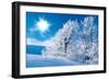 Winter in the Mountains-silver-john-Framed Photographic Print