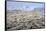 Winter in the Sonoran Desert-James Randklev-Framed Stretched Canvas