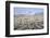 Winter in the Sonoran Desert-James Randklev-Framed Photographic Print