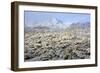 Winter in the Sonoran Desert-James Randklev-Framed Photographic Print