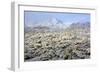 Winter in the Sonoran Desert-James Randklev-Framed Photographic Print