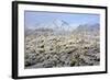 Winter in the Sonoran Desert-James Randklev-Framed Photographic Print