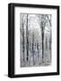 Winter in the Teutoburg Forest.-Nadja Jacke-Framed Photographic Print