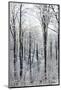 Winter in the Teutoburg Forest.-Nadja Jacke-Mounted Photographic Print