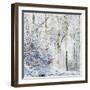 Winter in the Teutoburg Forest.-Nadja Jacke-Framed Photographic Print