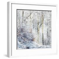 Winter in the Teutoburg Forest.-Nadja Jacke-Framed Photographic Print