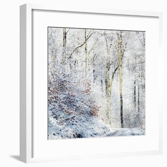 Winter in the Teutoburg Forest.-Nadja Jacke-Framed Photographic Print