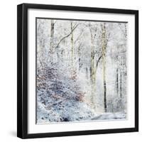 Winter in the Teutoburg Forest.-Nadja Jacke-Framed Photographic Print